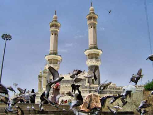 La Masjid Al-Haram /  La Mosquée Sacrée